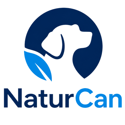 Newsletter logo