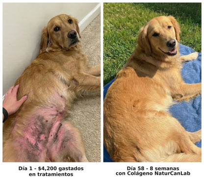 NaturCanLab Colágeno Líquido